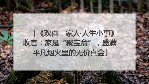 《欢喜一家人·人生小事》收官：家是“聚宝盆”，盛满平凡烟火里的无价真金