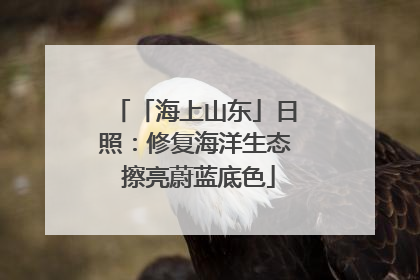 「海上山东」日照：修复海洋生态 擦亮蔚蓝底色