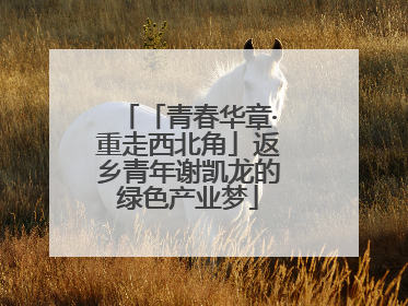 「青春华章·重走西北角」返乡青年谢凯龙的绿色产业梦