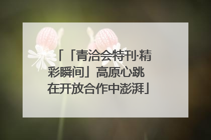 「青洽会特刊·精彩瞬间」高原心跳 在开放合作中澎湃