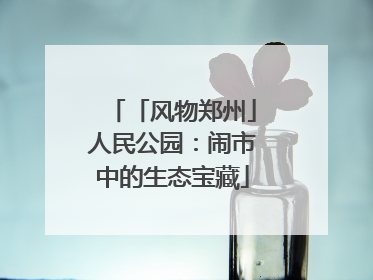 「风物郑州」人民公园：闹市中的生态宝藏