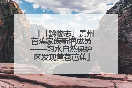 「黔物志」贵州芭蕉家族新增成员——习水自然保护区发现黄苞芭蕉