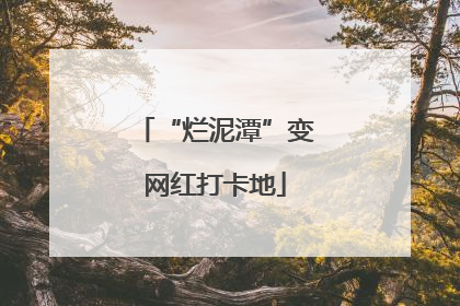 “烂泥潭”变网红打卡地