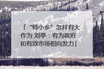 “特小乡”怎样有大作为 刘亭：有为政府和有效市场相向发力