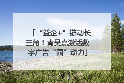 “益企+”链动长三角！青吴嘉激活数字广告“园”动力