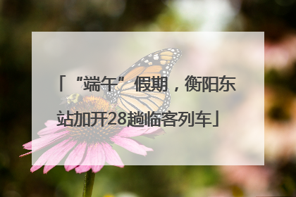 “端午”假期，衡阳东站加开28趟临客列车