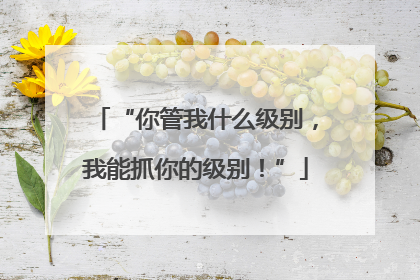 “你管我什么级别，我能抓你的级别！”
