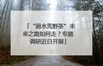 “丽水荒野茶”未来之路如何走？专题调研近日开展