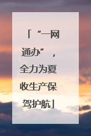 “一网通办”，全力为夏收生产保驾护航