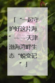 “一起守护好这片海”——天津渤海湾畔生态“蜕变记”