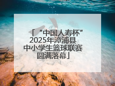 “中国人寿杯”2025年漳浦县中小学生篮球联赛圆满落幕