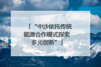 “中沙依托传统能源合作模式探索多元创新”