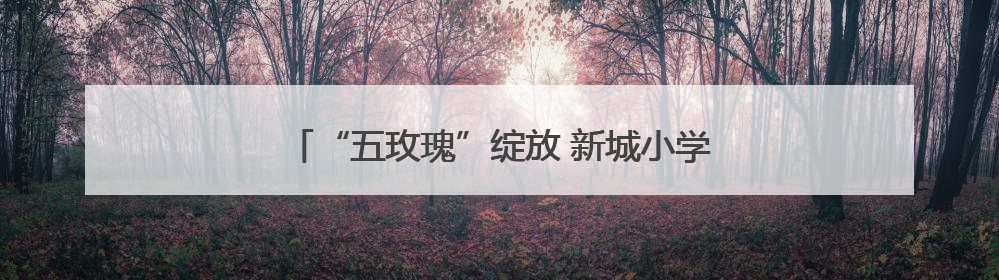 “五玫瑰”绽放 新城小学混编少年足球队勇夺四强