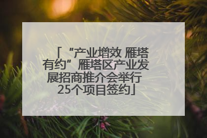 “产业增效 雁塔有约”雁塔区产业发展招商推介会举行 25个项目签约