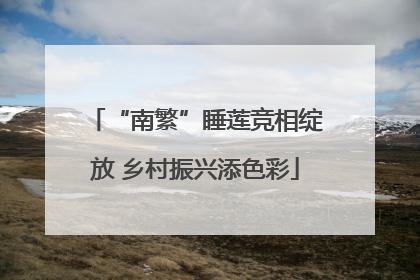 “南繁”睡莲竞相绽放 乡村振兴添色彩