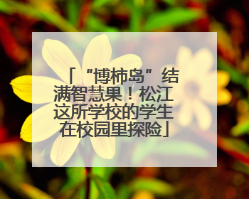 “博柿岛”结满智慧果！松江这所学校的学生在校园里探险