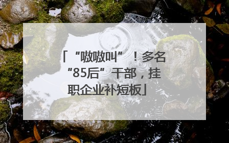 “嗷嗷叫”！多名“85后”干部，挂职企业补短板