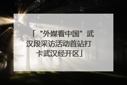“外媒看中国”武汉段采访活动首站打卡武汉经开区
