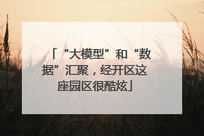“大模型”和“数据”汇聚，经开区这座园区很酷炫