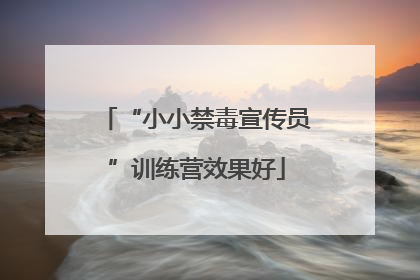 “小小禁毒宣传员”训练营效果好