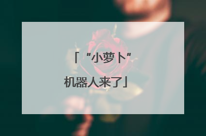 “小萝卜”机器人来了