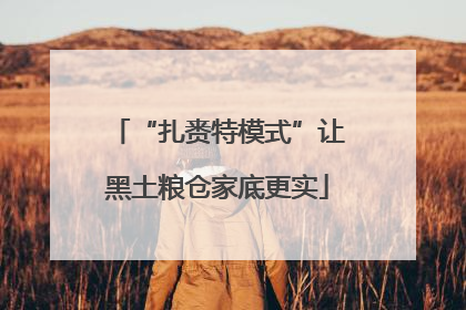 “扎赉特模式”让黑土粮仓家底更实