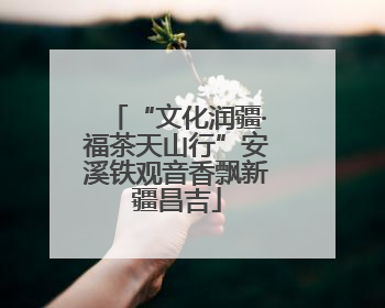 “文化润疆·福茶天山行”安溪铁观音香飘新疆昌吉