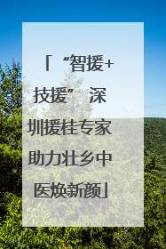 “智援+技援” 深圳援桂专家助力壮乡中医焕新颜