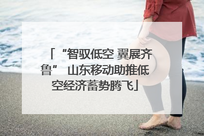 “智驭低空 翼展齐鲁” 山东移动助推低空经济蓄势腾飞
