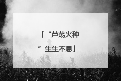 “芦荡火种”生生不息