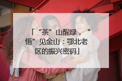 “茶”山醒绿，“悟”见金山：鄂北老区的振兴密码