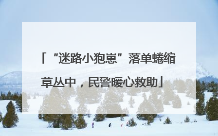 “迷路小狍崽”落单蜷缩草丛中，民警暖心救助
