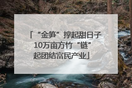 “金笋”撑起甜日子 10万亩方竹“链”起团结富民产业