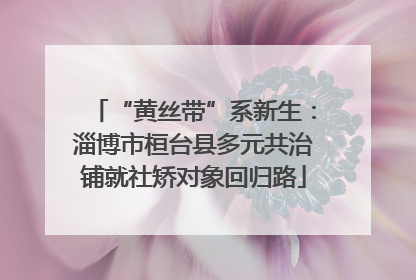 “黄丝带”系新生：淄博市桓台县多元共治铺就社矫对象回归路