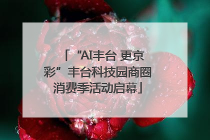 “AI丰台 更京彩”丰台科技园商圈消费季活动启幕