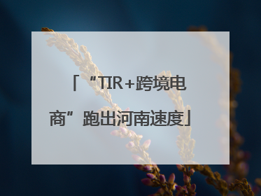 “TIR+跨境电商”跑出河南速度