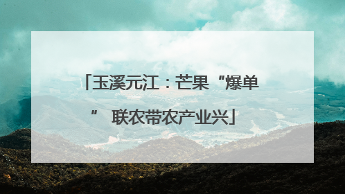 玉溪元江：芒果“爆单” 联农带农产业兴