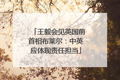 王毅会见英国前首相布莱尔：中英应体现责任担当