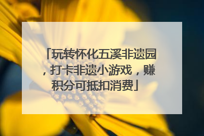 玩转怀化五溪非遗园，打卡非遗小游戏，赚积分可抵扣消费