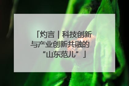 灼言｜科技创新与产业创新共融的“山东范儿”