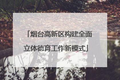 烟台高新区构建全面立体德育工作新模式