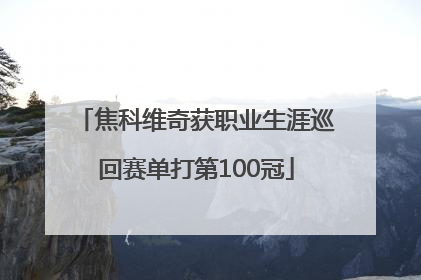 焦科维奇获职业生涯巡回赛单打第100冠
