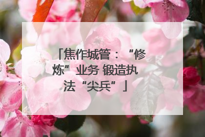 焦作城管：“修炼”业务 锻造执法“尖兵”