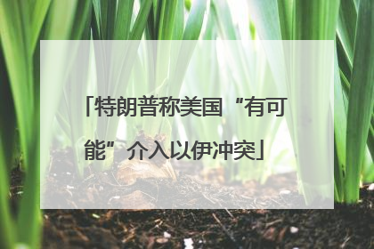 特朗普称美国“有可能”介入以伊冲突