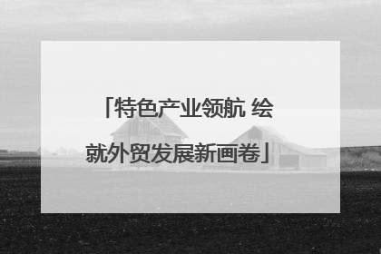 特色产业领航 绘就外贸发展新画卷