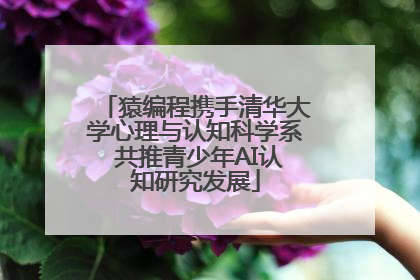 猿编程携手清华大学心理与认知科学系 共推青少年AI认知研究发展