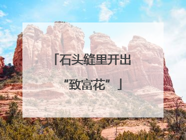 石头缝里开出“致富花”