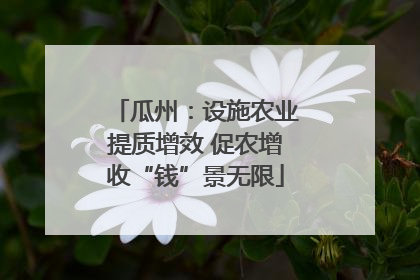 瓜州：设施农业提质增效 促农增收“钱”景无限