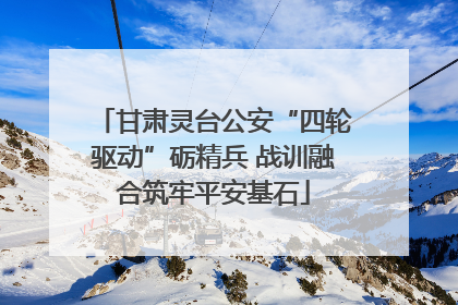 甘肃灵台公安“四轮驱动”砺精兵 战训融合筑牢平安基石