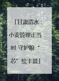 甘肃清水：小麦管理正当时 守护粮“芯”绘丰景